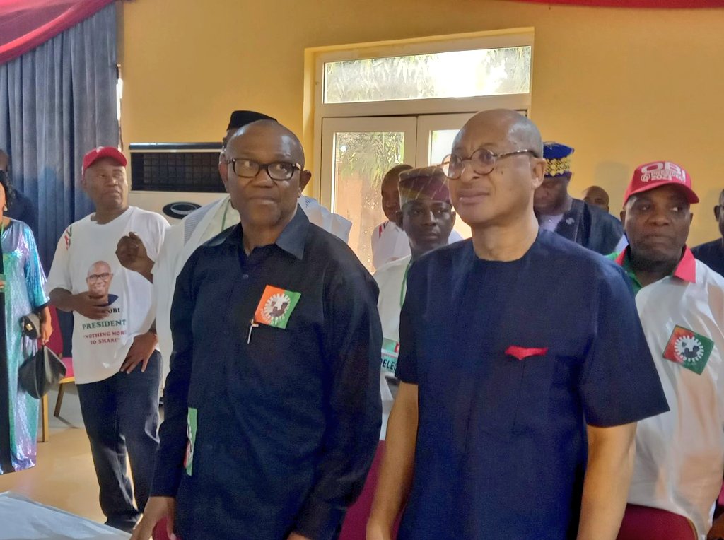 Labour Party Battles Utomi Group For Control Of Peter Obi S