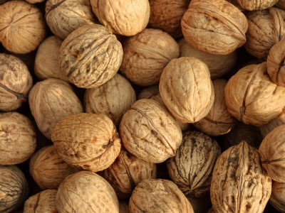 walnuts_Foods_You_Must_Eat_