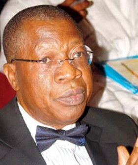 Lai Mohammed: APC interim spokesman