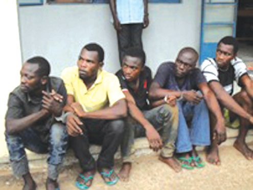 Some of the robbers paraded yesterday by the police in Benin.