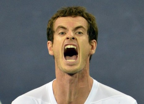 Andy Murray: now world number 2