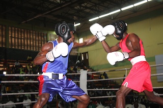 Boxing ( Kano in Blue with Delta in Red) 1