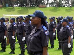 traffic officers