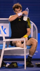 Murray: wore down by Djokovic