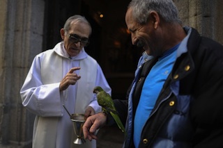 Spain: priest also blesses parrot