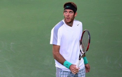 Juan Martin del Potro: sent packing by unseeded Spaniard