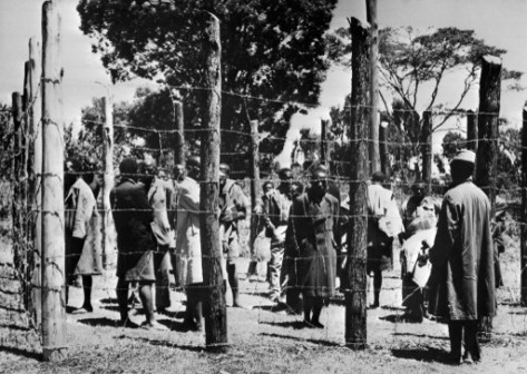 Soldiers guarding Mau Mau fighters