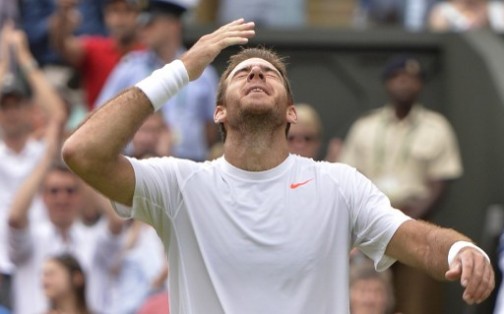 Argentina's Juan Martin Del Potro: stunned by robbers in Paris