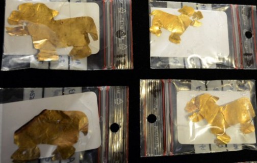 some of the gold pieces found under water in Bolivia