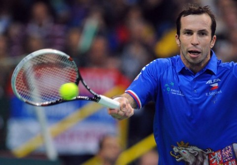 Radek Stepanek: brings glory to Czech Republic again