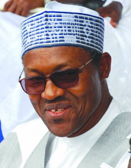 Buhari: He and Tinubu led APC to convince the G-7 members