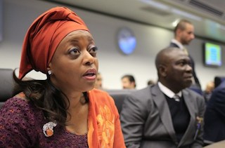 Diezani Alison Madueke: to head the steering committee