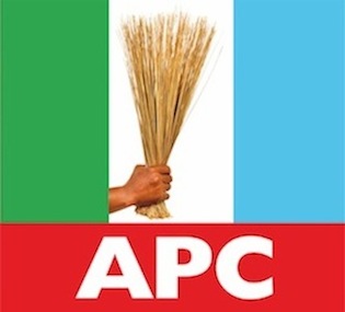 APC Logo 3