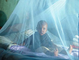 Mosquito bed nets