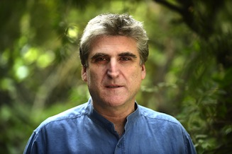 David Bergman