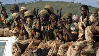 Chadian Soldiers: battling Boko Haram fighters