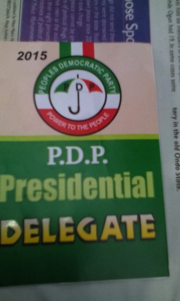 Half Way There: The PDP Presidential delegate pass can only get you inside the palace