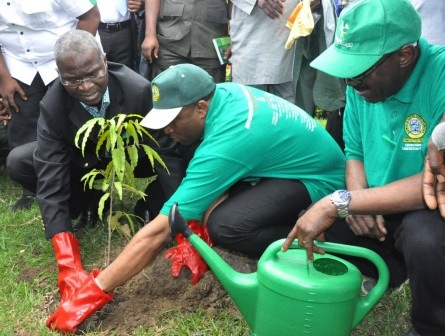 Lagos Tree Planting