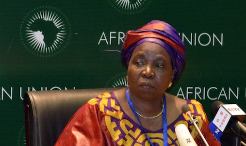 South African Home Affairs Minister Dlamini-Zuma addresses the media during leaders meeting at the African Union in Addis Ababa