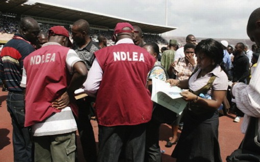 NDLEA operatives