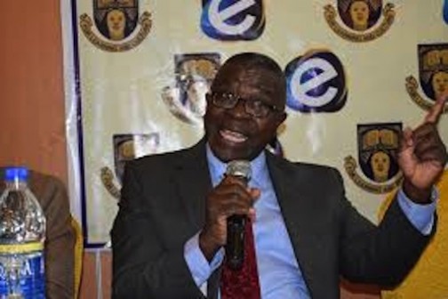 Prof. Bamitale Omole, VC OAU