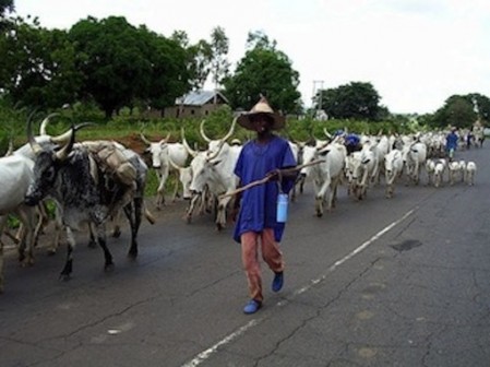 FILE PHOTO: A herdsman in Nigeria