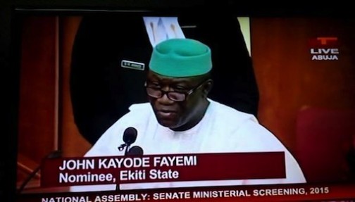 Kayode Fayemi during the ministerial screening