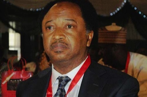 Senator Shehu Sani