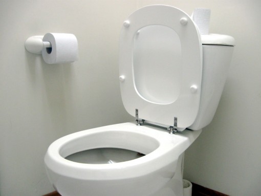 toilet seat