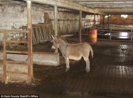 Photo: Clark County Sheriff's Office