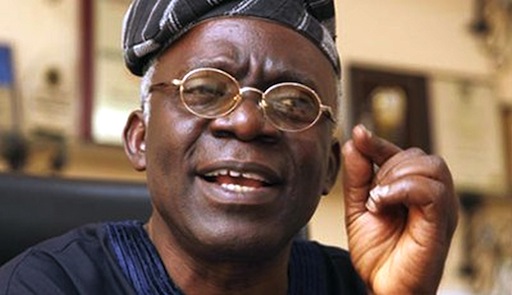 Femi Falana1