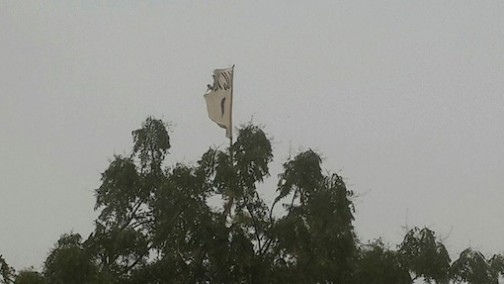 Boko Haram's flag  hoisted on a tree in Doksa