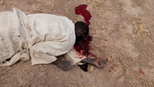 Another Boko Haram terrorist killled by Nigerian troops