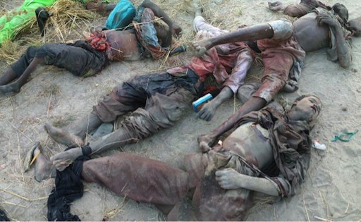 Boko Haram members killed by Nigerian troops
