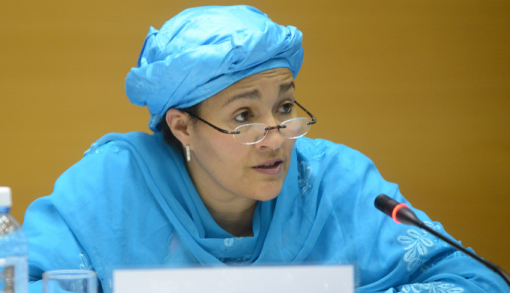 Amina Mohammed, Minister of the Environment