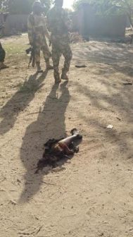 Nigerian troops and a body part of a suspected suicide bomber