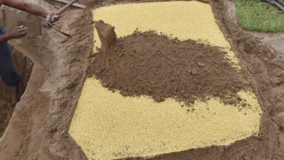 Chinese converts sand into soil