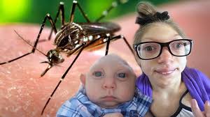 zika-virus