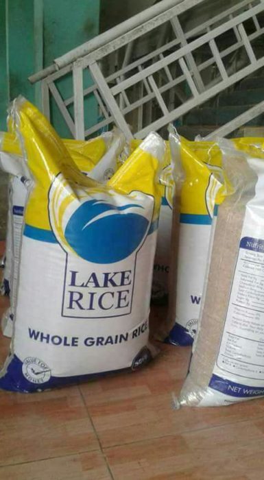 Lake Rice 1