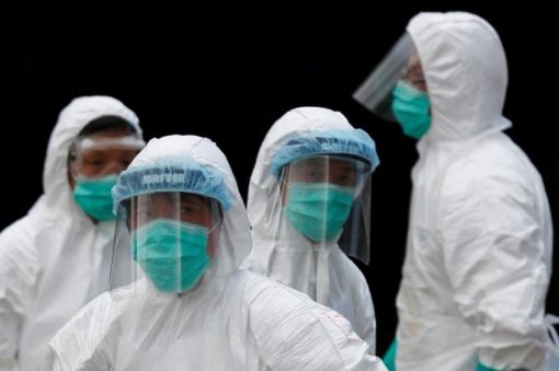 Health officers in protective clothing cull poultry at a wholesale market in Hong Kong