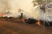 Climate Change: Bauchi State Govt. warns against bush burning