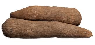 Yam