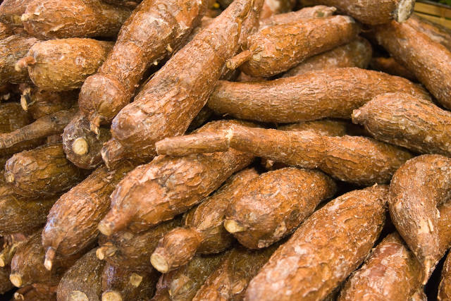 Cassava