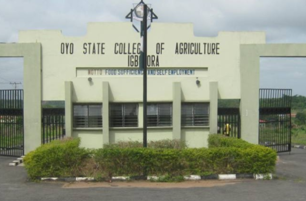 Oyo State College of Agriculture and Technology (OYSCATECH)
