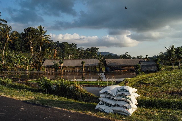 farming-1031649_640