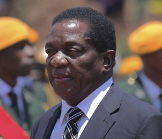 President Emmerson-Mnangagwa-1-696×597