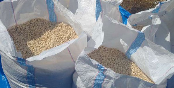 bags of maize