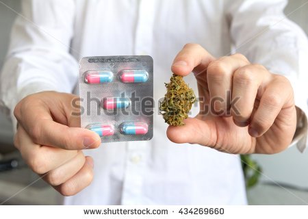 Doctor holding bud of medical cannabis and pills