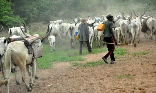 Fulani Herdsmen