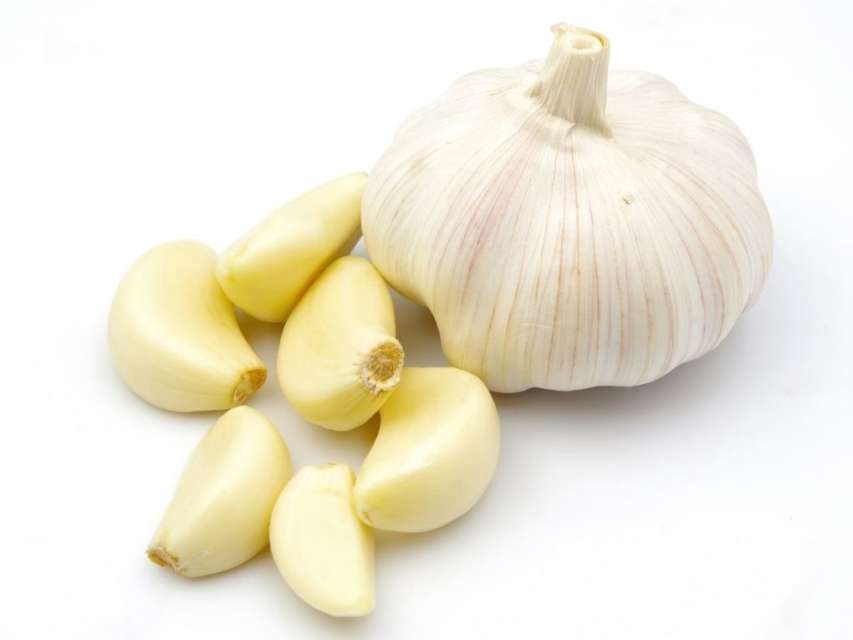 garlic 1